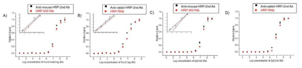 FLAG-HaloTag 단백질 (A, B)과 EpCAM (C, D)을 HRP:MG1Nb (A, C)와 HRP:RNb (B, D)로 신호를 증폭하여 기존의 HRP-conjugated 2차 항체와 활성 비교