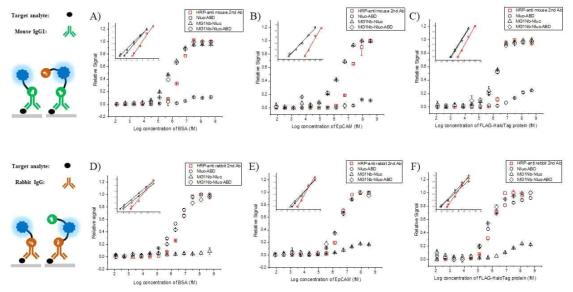 BSA (A, D), EpCAM (B, E) 그리고 FLAG-HaloTag 단백질 (C, F)를 mouse IgG1 (A-C)과 rabbit IgG (D-F)로 표적하고 rILSA로 신호를 증폭하여 기존의 HRP-conjugated 2차 항체와 활성 비교