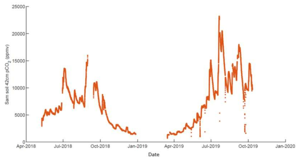 2018년부터 2019년까지 A3 지점(그림 1) 하천 옆 숲 토양 내부(깊이42cm)의 pCO2 변화. 그래프 내 점들은 1시간 간격으로 도시됐으며 각 점은 1시간 동안 측정된 값들의 평균 값을 나타냄