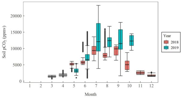 2018년부터 2019년까지 측정한 A3 지점(그림 1) 숲 토양 pCO2의 월별 분포. 측정이 겹치는 기간인 5월, 6월, 7월, 8월, 9월, 10월은 2018년과 2019년도의 값 분포를 각각 따로 도시함