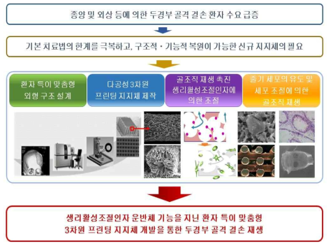 연구의 개요