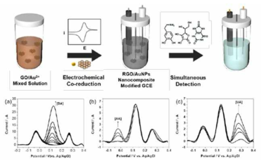 그래핀과 금 나노입자로 개질화된 전극을 이용하여 전기화학적으로 다양한 물질을 분리∙검출하는 바이오 센서 개발 (Nanomaterials, 2018, 8(1), 17)