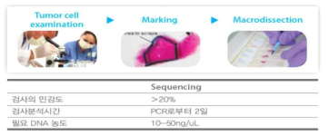 조직을 이용한 EGFR에 대한 기존 암 진단 검사방법