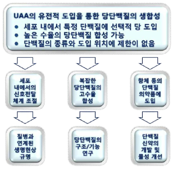 본 연구의 연구개요