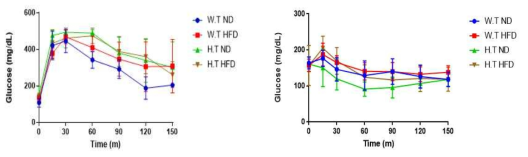 EWSR1 deficien mice model에서 일반적인 식이와 고지박식이에 따른 GTT & ITT 그래프