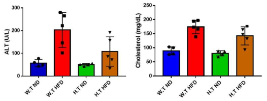 EWSR1 deficien mice model에서의 ALT와 Cholesterol level
