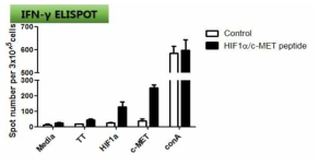 c-MET/HIF1α 표적 peptide 백신의 면역원성을 ELISPOT으로 확인