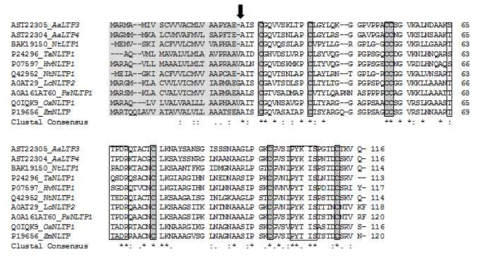 Alignment of the deduced AaLTP amino acid sequences with other known nsLTPs. The conserved cysteine residues are highlighted in grey shades with black borders. The SP predicted by SignalP is highlighted in grey, and the arrow indicates a putative cleavage site. The two unfilled boxes represent LTP-specific conserved pentapeptides. The sequence IDs represent the (protein ID)_(gene name preceded by initials of the source organism genus and species). Aa = Artemisia annua, Nt = Nicotiana tabacum, Ta = Triticum aestivum, Hv = Hordeaum vulgare, Lc = Lens culinaris, Ps = Pisum sativum, Os = Oryza sativa Japonica Group, Zm = Zea mays