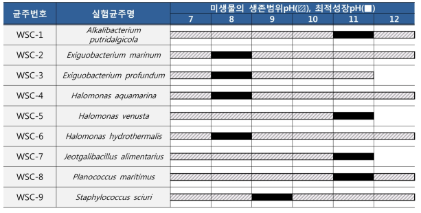 미생물 생장환경 pH 측정결과