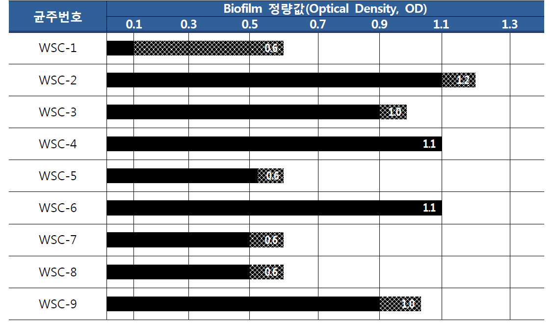 Biofilm 정량분석 결과비교 (3일 경과 후)