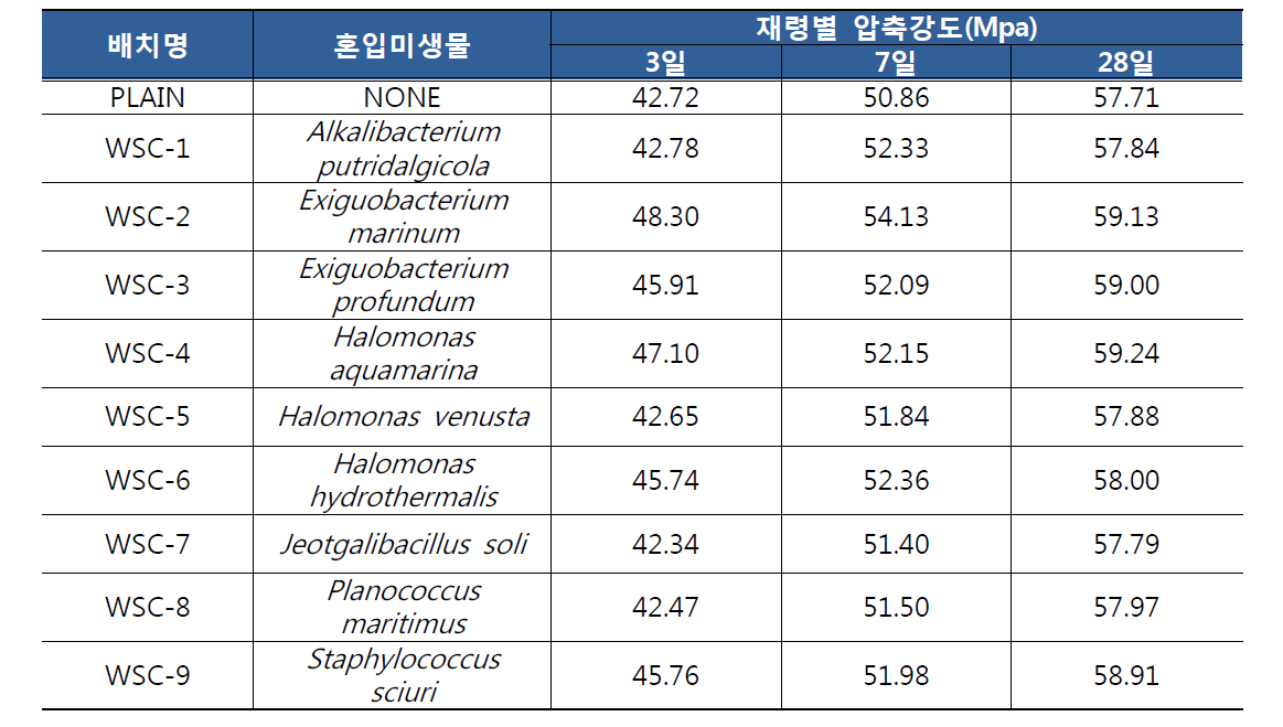 미생물 혼입 고강도 콘크리트의 재령별 압축강도 결과비교