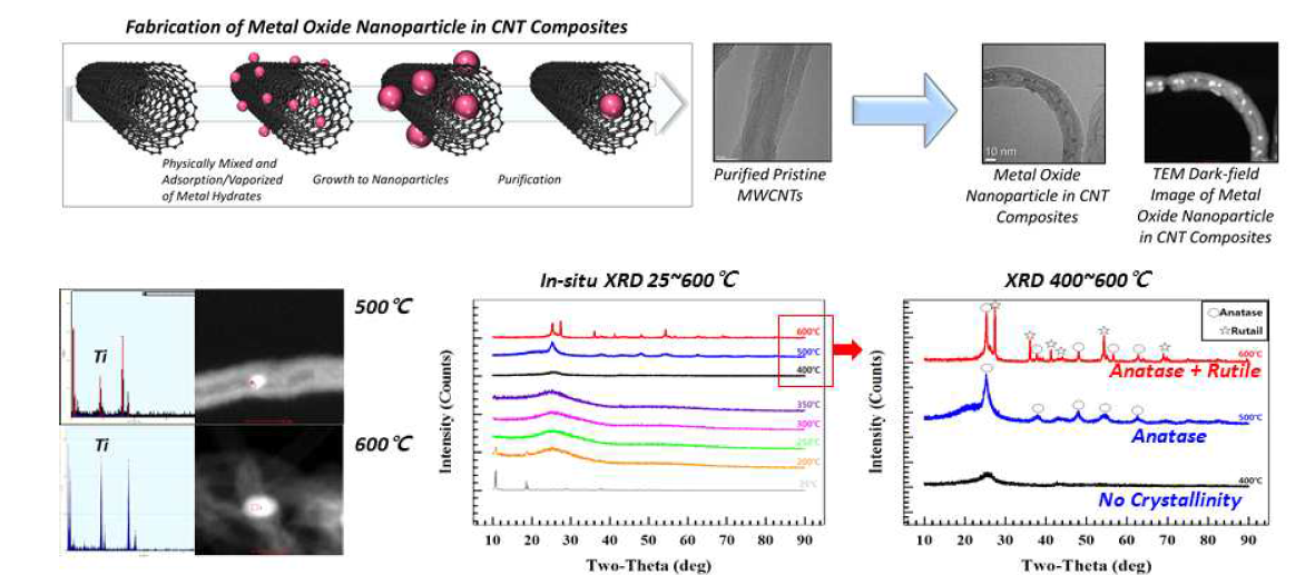 다중벽 탄소나노튜브 내에 형성된 이산화티탄늄(TiO2) 나노입자의 이미지와 공정온도에 따른 나노입자의 결정구조