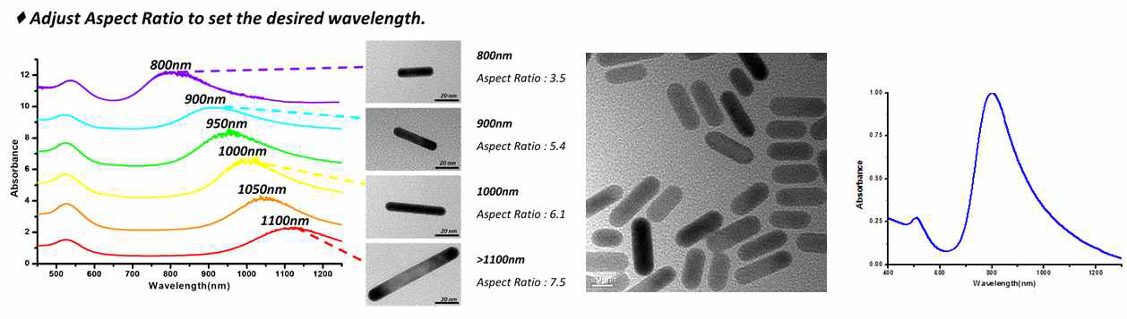 높은 형상비를 가지는 금 나노막대 입자와 초소형 금 나노막대 입자의 이미지와 스펙트럼