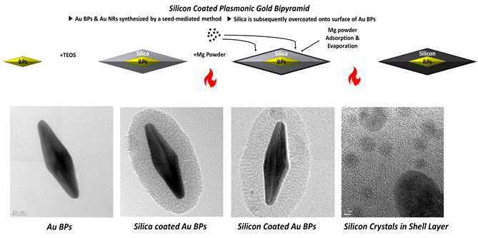 Core-Shell 구조를 가지는 실리카 박막에서 실리콘박막으로 환원된 금 바이피라미드 나노입자