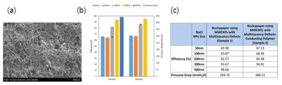 (a) 다기공이 형성된 다중벽 탄소나노튜브를 이용해 제작한 buckypaper, (b and c)particle generator를 이용하여 50, 100, 200, 300, 400nm 입자의 흡착 및 필터 효율 측정