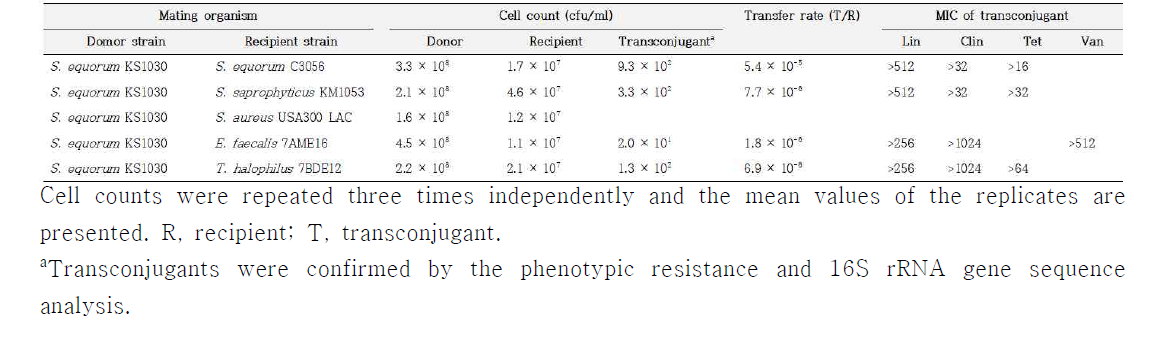 Bacterial strains and corresponding MICs