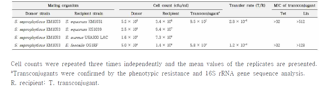 In vitro transfer of tetK from S. saprophyticus to Gram-positive recipient strains