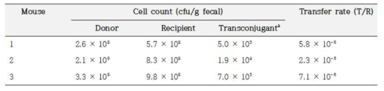 In vivo transfer of pSELNU1 containing lunA from S. equorum to S. saprophyticus in mouse intestine