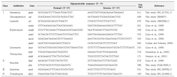 Oligonucleotides for the identification of antibiotic resistance genes