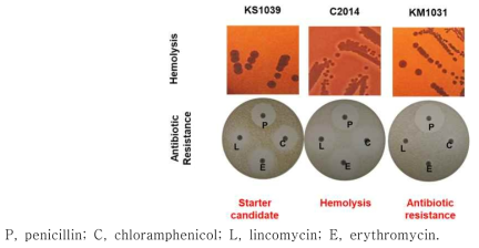 Strain-specific antibiotic resistance and hemolygis of S. equorum strains from jeotgal