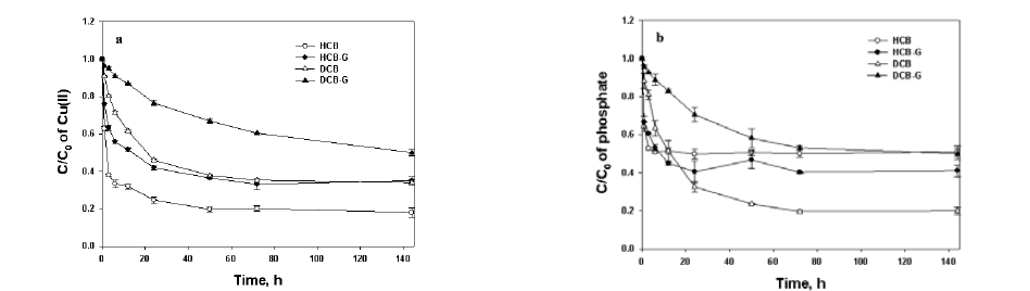 Cu(II) (a) and phosphate (b) sorption kinetic for the different CBs