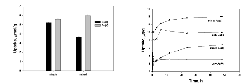 uptake of As(V) and Cu(II) for batch test (a), kinetic test(b)