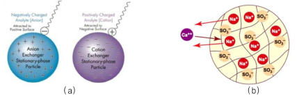 Mechanism of adsorption (a) and ion exchange (b)