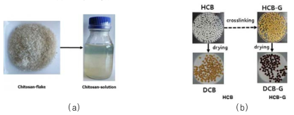 Chitosan flake and 2.5 % chitosan solution(a), four types of chitosan bead (b) and four types of chitoan bead at different pH (c)