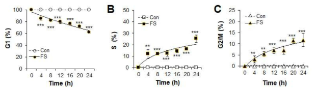 FS가 Cell cycle에 미치는 영향