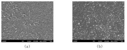 용융 성형한 PS/표면개질 CNT 나노복합재료 파단면에 대한 SEM 이미지: (a) PDA-CNT 3 wt%; (b) PEDOT:PSS-CNT 3 wt%