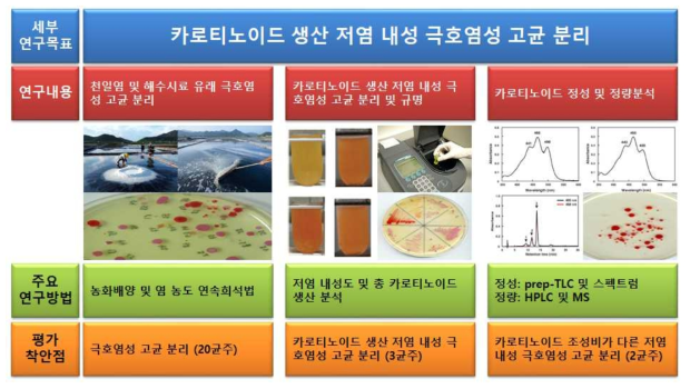 연구수행 방법 (카로티노이드 생산 저염 내성 극호염성 고균 분리)