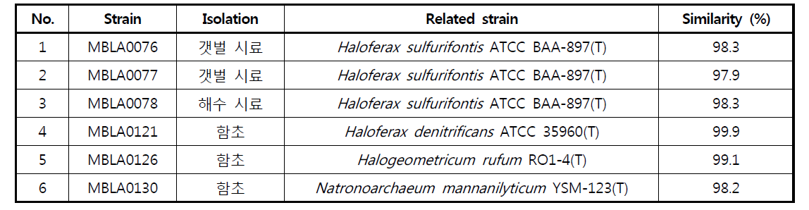 5% 이하의 NaCl 농도에서 생장 가능한 저염 내성 극호염성 고균 균주의 동정 결과