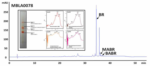 Haloferax sp. MBLA0078 균주의 HPLC 기반 카로티노이드 생산 확인(insert: MBLA0078 균주의 TLC 및 UV/VIS absorption spectrum 기반 카로티노이드 생산 확인)