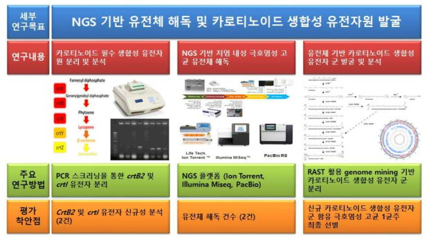 연구수행 방법 (NGS 기반 유전체 해독 및 카로티노이드 생합성 유전자원 발굴)