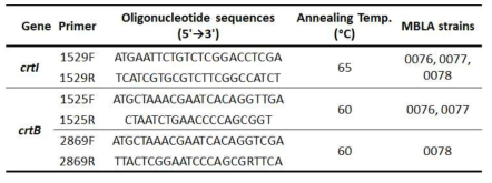 CrtI 및 crtB 유전자 탐색을 위한 PCR 프라이머 정보