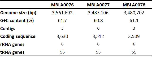 Haloferax sp. MBLA0076, 0077, 0078 균주의 전장유전체 분석 결과