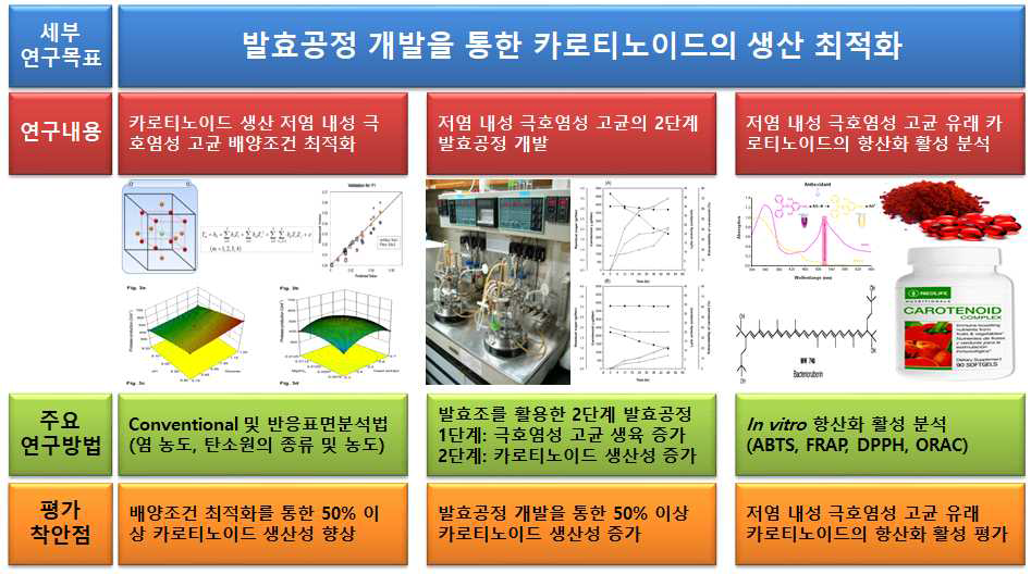 연구수행 방법 (발효공정 개발을 통한 카로티노이드의 생산 최적화)