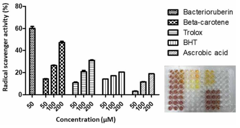 Haloferax sp. MBLA0078 유래 C50 카로티노이드의 항산화 평가(DPPH)