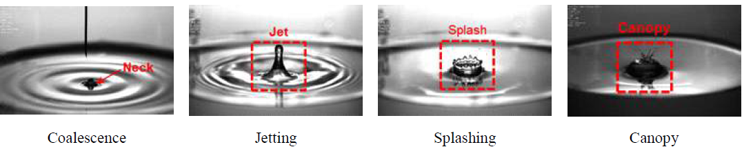 Visualization of single droplet impacting on the liquid surfaces