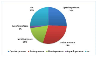 K. septempunctata의 Protease transcriptome 분석