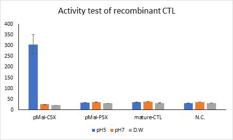 조건별 발현된 recombinant cathepsin L의 활성 test