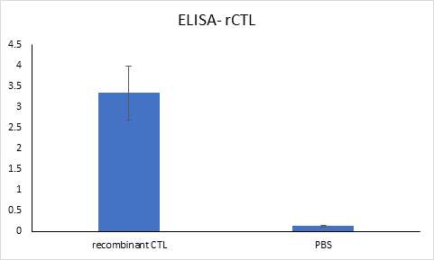 Pro-cathepsin L의 ELISA 결과