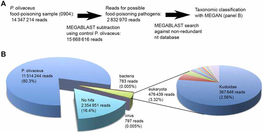 2008~2010 일본에서 발생한 식중독 사건 Metagenomics를 통한 역학조사