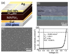 (a) 디바이스 구조, (b) ITO/CuI/MAPbI3의 cross-sectional SEM image, (c) ITO위 CuI의 top-view SEM image, (d) one-sun 아래 태양전지 J-V 특성곡선