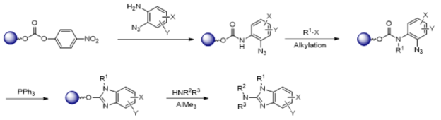Common precursor Approach: 2-Aminobenzimidazole Library Synthesis from resin bound carbonate