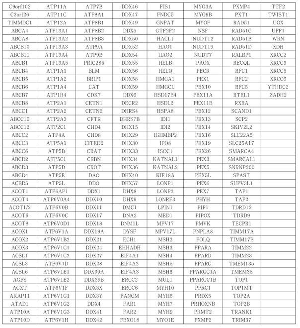 Peroxisome-associated gene lists used in Real-time PCR screening