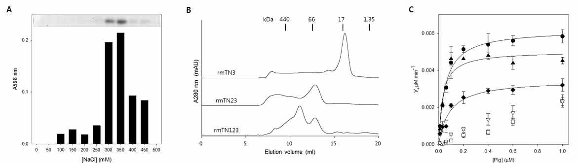 Tetranectin의 생화학적 활성 도메인 확인. (A)Heparin affinity chromatography를 통한 exon1 domain 확인, (B)size-exclusion chromatography를 통한 exon2 domain 확인, (C)tPA에 의한 plasminogen activation 확인을 통한 exon3 domain 확인