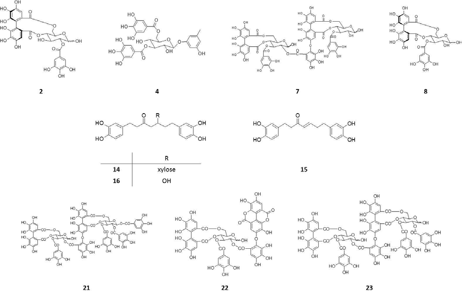 1차년도에 선정된 전립선 암세포 (LNCaP, PC-3)에 대한 효능 phytochemical (2,4,7,8,14-16,21-23)