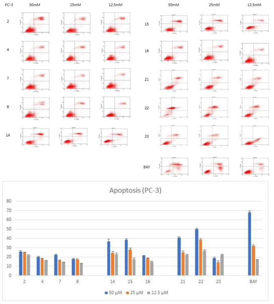 전립선 암세포 (PC-3)에 대한 효능 phytochemical의 apoptosis 억제 활성 평가