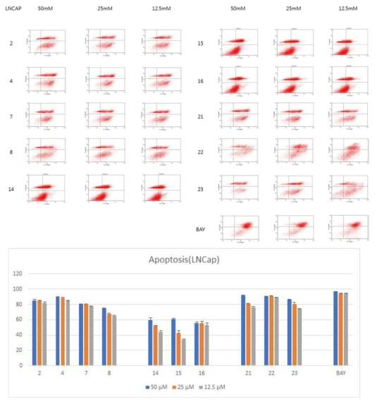 전립선 암세포 (LNCaP)에 대한 효능 phytochemical의 apoptosis 억제 활성 평가